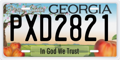 GA license plate PXD2821
