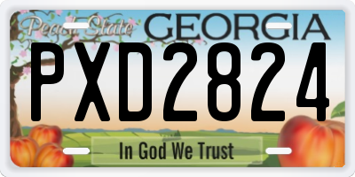 GA license plate PXD2824