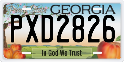 GA license plate PXD2826