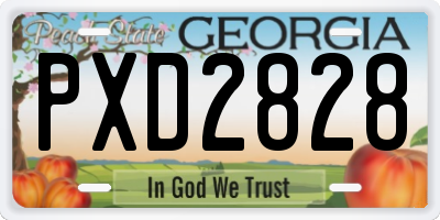 GA license plate PXD2828