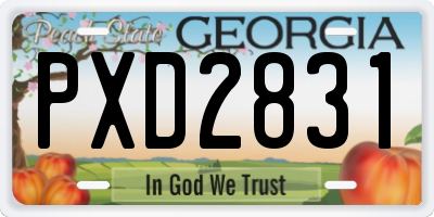 GA license plate PXD2831