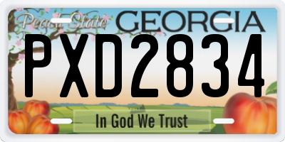 GA license plate PXD2834