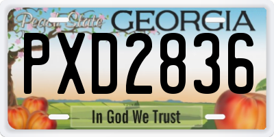 GA license plate PXD2836