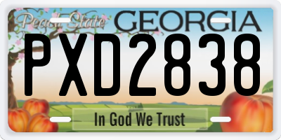 GA license plate PXD2838