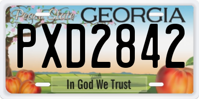 GA license plate PXD2842