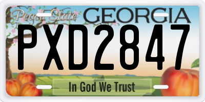 GA license plate PXD2847