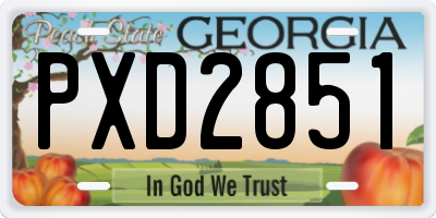 GA license plate PXD2851