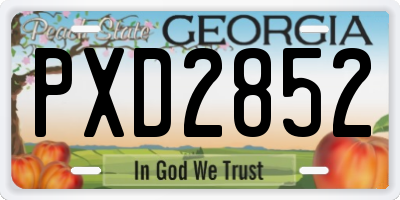 GA license plate PXD2852