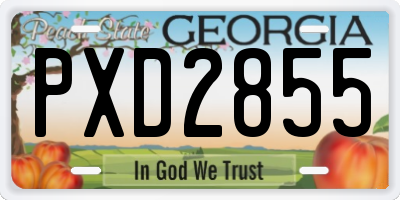 GA license plate PXD2855