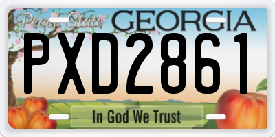 GA license plate PXD2861