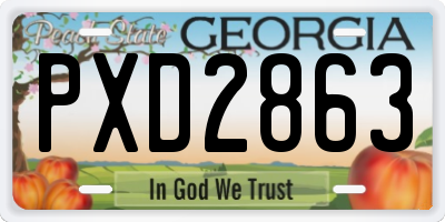 GA license plate PXD2863