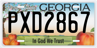 GA license plate PXD2867