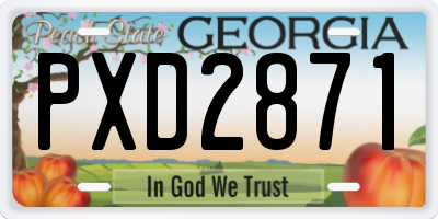 GA license plate PXD2871