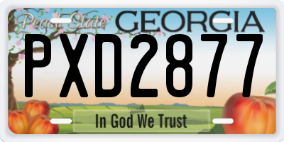 GA license plate PXD2877