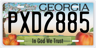 GA license plate PXD2885