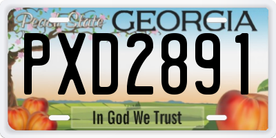 GA license plate PXD2891