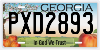 GA license plate PXD2893