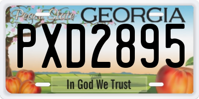 GA license plate PXD2895