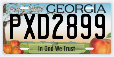 GA license plate PXD2899