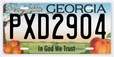 GA license plate PXD2904