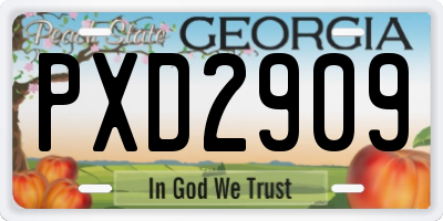 GA license plate PXD2909