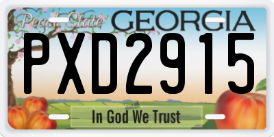 GA license plate PXD2915