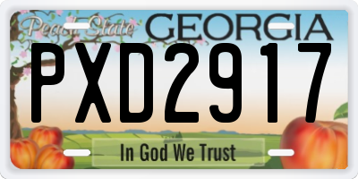 GA license plate PXD2917
