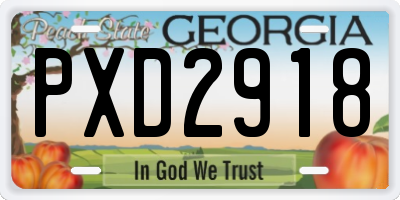 GA license plate PXD2918