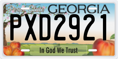 GA license plate PXD2921
