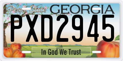 GA license plate PXD2945