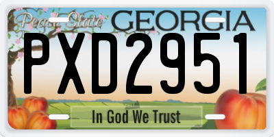 GA license plate PXD2951