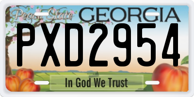 GA license plate PXD2954