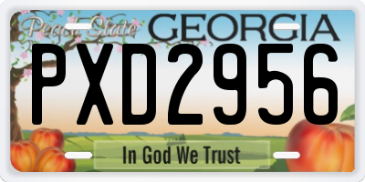 GA license plate PXD2956