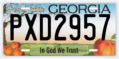 GA license plate PXD2957