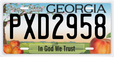 GA license plate PXD2958
