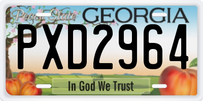 GA license plate PXD2964