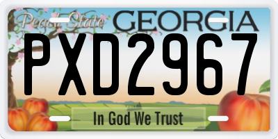 GA license plate PXD2967