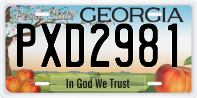 GA license plate PXD2981