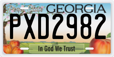 GA license plate PXD2982