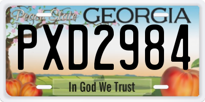 GA license plate PXD2984