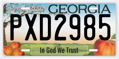 GA license plate PXD2985