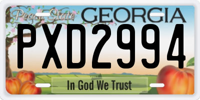 GA license plate PXD2994