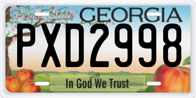 GA license plate PXD2998