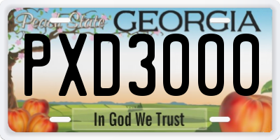 GA license plate PXD3000