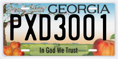 GA license plate PXD3001