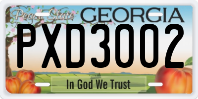 GA license plate PXD3002