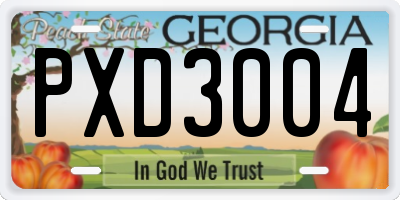 GA license plate PXD3004