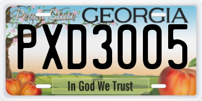 GA license plate PXD3005