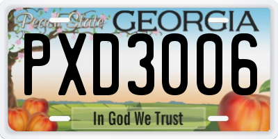 GA license plate PXD3006