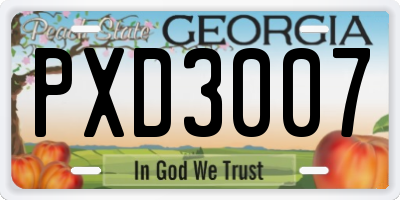 GA license plate PXD3007